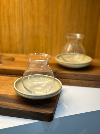 Cony 6er Teegläser Set