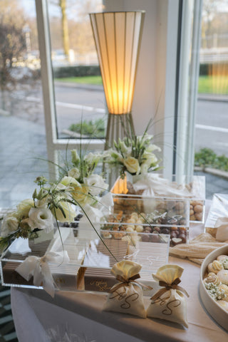 Premium Acryl Box mit Deckel L 45x20x 8 cm